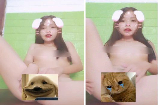 Ảnh đại diện Thỏ xinh nứng lồn thủ dâm mỗi ngày