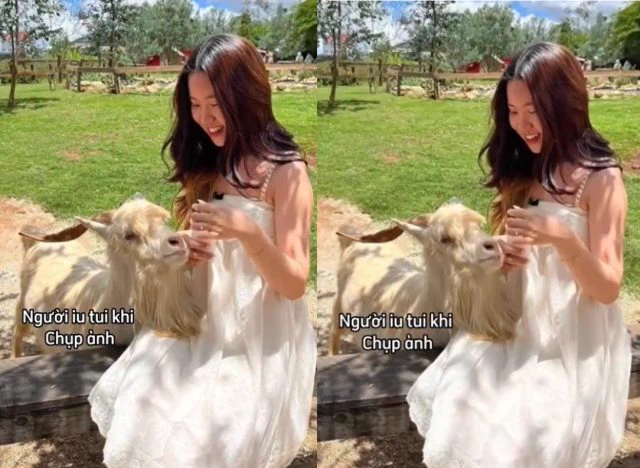 Ảnh đại diện Tiểu thư từ bỏ tất cả yêu anh chim to